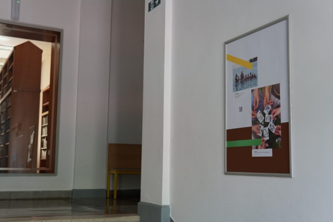 ZA MLADE: PROSTOVOLJSTVO, IZMENJAVE IN DELO V TUJINI