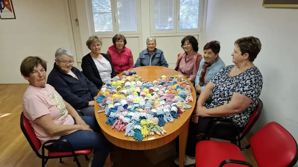 NA LOZICAH IN V PODNANOSU NAKVAČKALI ŽE 2.826 HOBOTNIC ZA NEDONOŠENČK